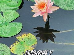 -大宁公园