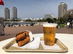 -台场海滨公园船码头