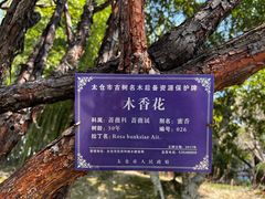 -南园(太仓市)