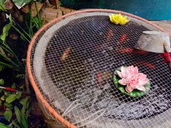-张家大院·鲁菜·私房菜(芙蓉街店)