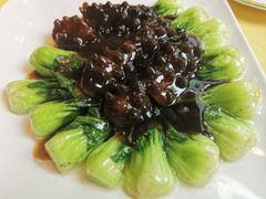 菜心排海参-功德林(南京西路店)