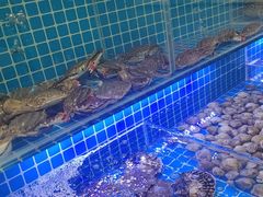 -南戴河海滨市场