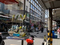 -溪岸路花鸟市场