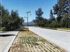 -野鸭湖国家湿地公园