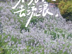 -梦之蓝青奥体育公园体育馆