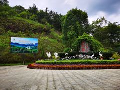 -广州白江湖森林公园