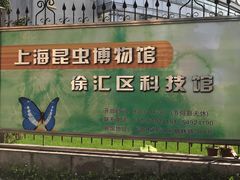 -上海昆虫博物馆