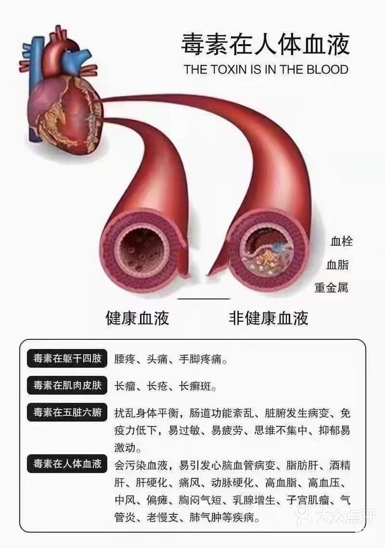 昭昭 1月21日 11 02 关注 血液黏稠的危害 🍀血液粘稠的危害👇