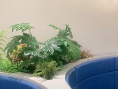-兰湘子·湘菜小炒(盛龙广场店)