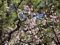 -青藏高原野生动物园