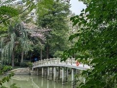 -金山公园