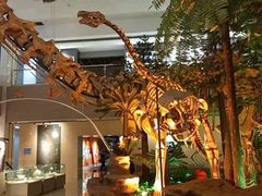 -甘肃地质博物馆