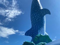-珠海长隆海洋王国