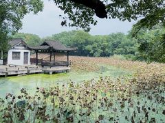 -兰亭风景区