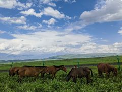 -新疆那拉提国家旅游度假区