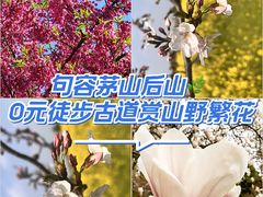 -句容茅山景区