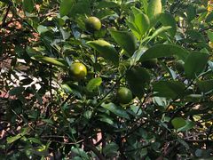 -厦门良筑精品酒店(厦门中山路店)