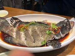 豉蒸南海大龙胆-必点海鲜·鲅鱼水饺(鞍山西道店)
