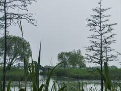 -苏州吴中太湖旅游区