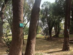 -上海多利农业发展有限公司