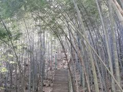-敬亭山风景名胜区