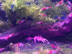 -三旗百汇商品城