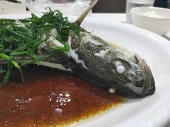 -锦园春香港茶餐厅(西海湾旗舰店)