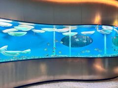 -碧涛阁水世界酒店·洗浴·自助(万家丽路店)