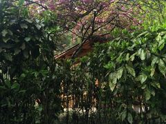 温泉池-黄山温泉国际旅游度假区