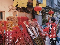 -溪岸路花鸟市场