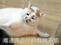 -喜茶(佛山顺德容桂天佑城店)