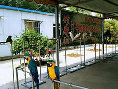 -竹泉村旅游度假区