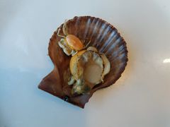 -海味当家·蒸锅海鲜(星海公园店)