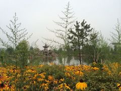 iphone_upload_pic-仁寿山
