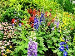 -上海共青森林公园