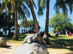 -海南分界洲岛旅游区