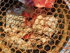 -农乐园炭火烤肉(繁花中心店)
