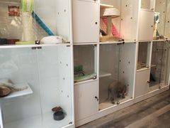 -沐沐家宠物(成寿寺店)