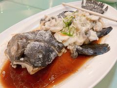 -聚春园自助餐厅(东街口店)