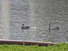 -山东大学(威海校区)