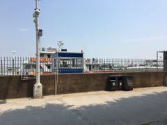 -大湾区中央湿地公园-十九涌