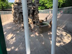 -保定市动物园