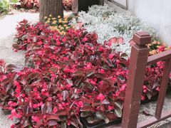 -汇龙潭