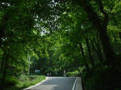 -南京老山国家森林公园