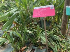 -广东中医药博物馆