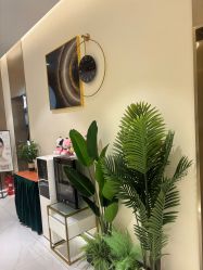 -王妃SPA·美容·科技抗衰