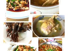 白果炖鸡汤-刘土鸡家常菜