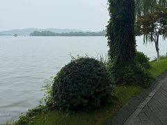 -浙江西子宾馆·瑶园咖啡厅