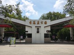 -金花茶公园