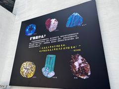 -中华赏石园